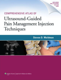 Ultrasound Guided Pain Management Injection Techniques